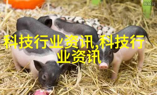 天花板设计